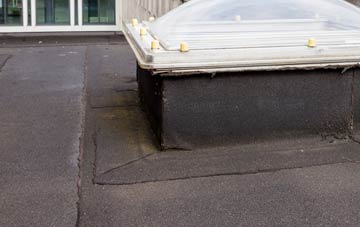 disadvantages of Heyshott flat roofs