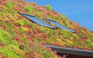 Heyshott living roof systems