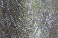 Heyshott fibreglass roof work